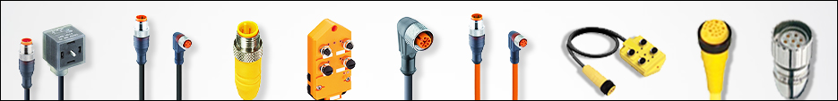 Sensor / Actuator Sensor / Actuator