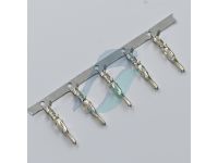Molex 5558-T PINS [ROLL] MALE Mini-Fit Family Power Connectors