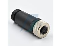 Spectra M12-12FC 12 Pin M12 Female Cable Type