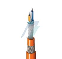 Belden 1 PAIR 18 AWG PVC/FRPVC SWA Foundation Fieldbus/Profibus PA Application  Steel Wire Armored Cable, FRPVC 