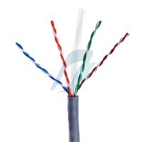 Spectra CAT-6 UTP Cable