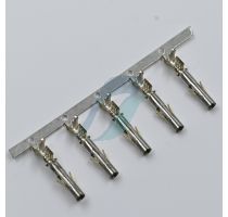 Molex 42024-1A1 Power Mate Female Pins MLX Power Connectors