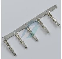 Molex 5556-T PINS [ROLL] FML Mini-Fit Family Power Connectors