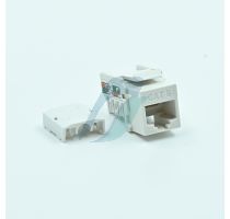 Spectra CAT-6 Information Outlet