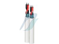Audio / Video Cable