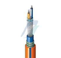 Belden Profibus PA / Foundation Fieldbus Armored Cable  Type-A with FR Jacket