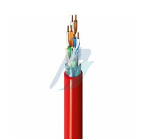 Belden Category 5 Cable, 4 Pair, F/UTP, CMP