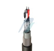 Belden 2 Pair 0.5 mm2 PE/OS/OBS/PVC/SWA/PVC Armored RS‐485 Cable
