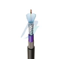 Belden 1Pair 22AWG FMPE/OBS/PVC/SWA/PVC Armored Profibus cable (Black Outer Jacket)